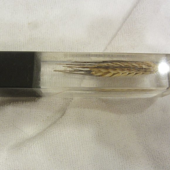 RARE VTG SOUVENIR LETTER OPENER CONTINENTAL GRAIN CO. - Picture 3 of 7